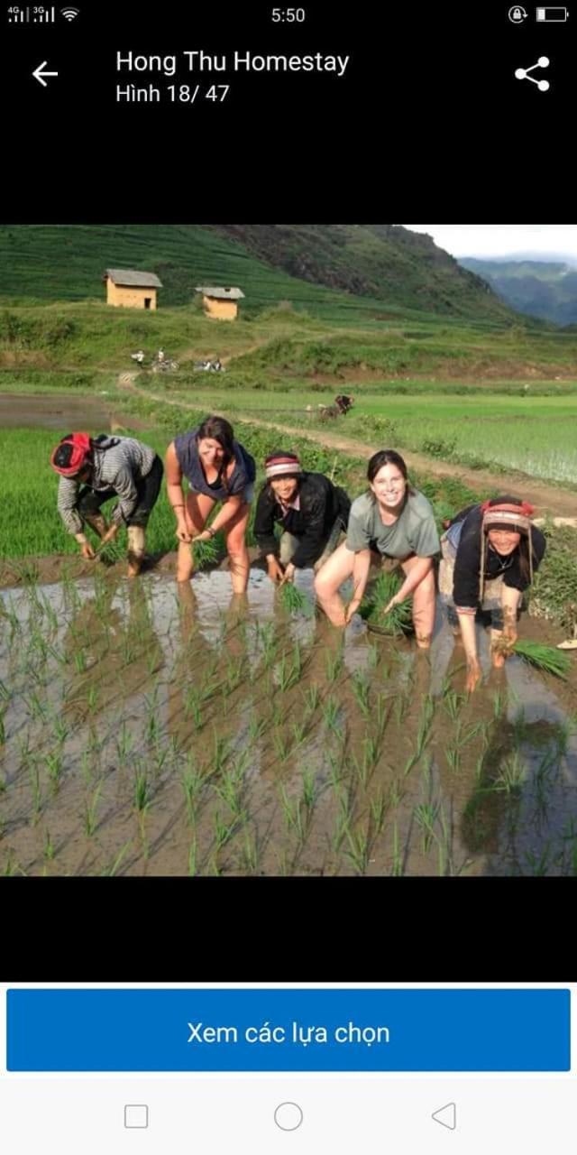 Hong Thu Homestay & Bungalow Quan Ba Bagian luar foto